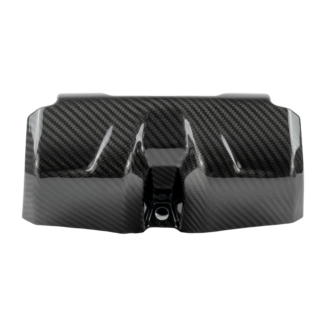 RPM Carbon Fiber Kawasaki H2 Seat Belt Covers (2pc)